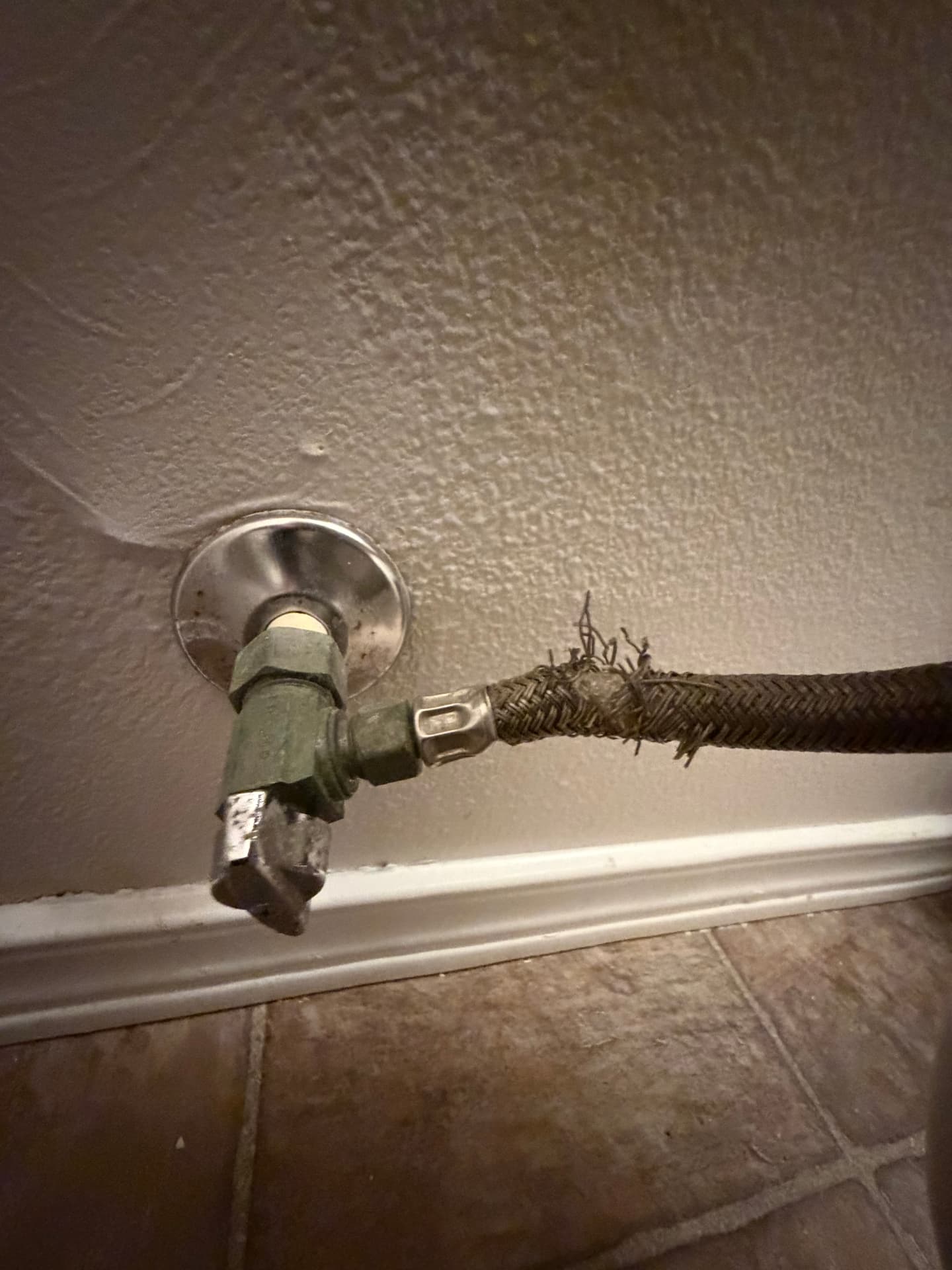 Failed braided water supply line behind a bathroom toilet, the source of the loss