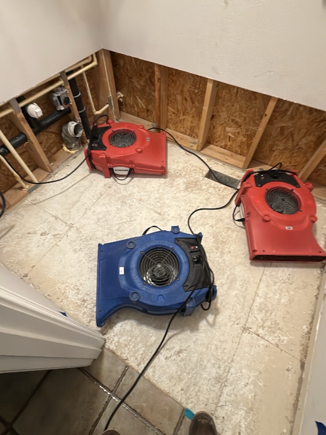 Laundry room with a flood cut removing lower drywall, exposing studs and subfloor, with red and blue air movers drying the wall cavity