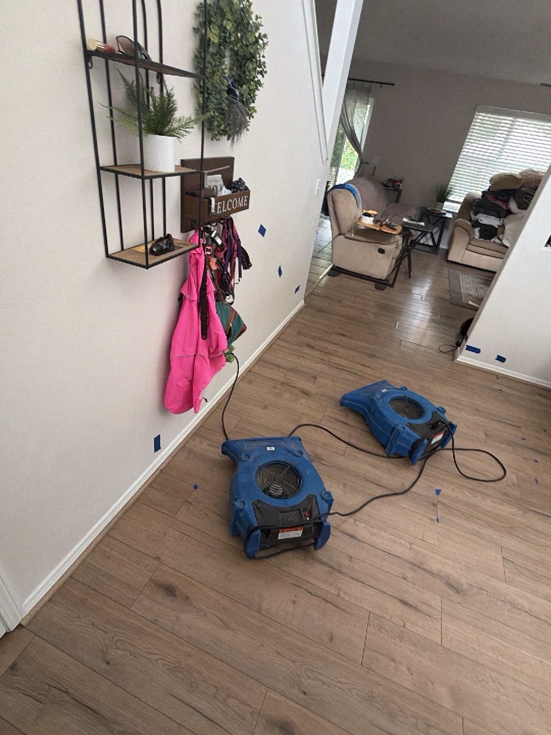 Hallway and living room with two blue air movers directed at the base of the walls, blue tape marks mapping moisture readings across the laminate floor